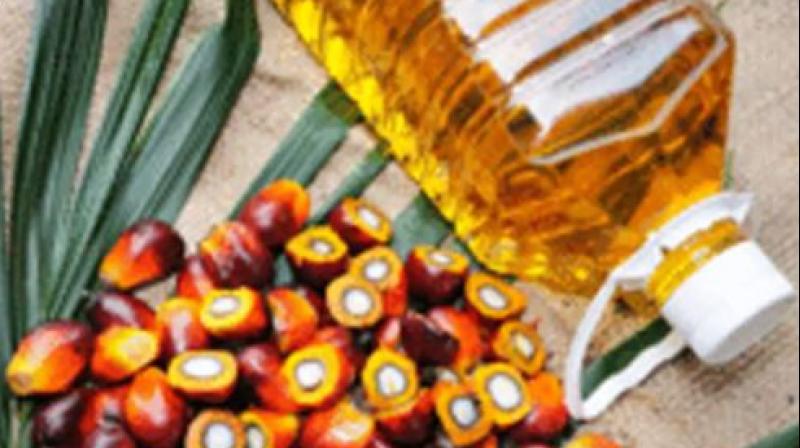 Refined Palm Oil