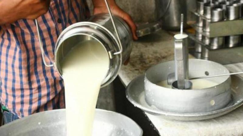 Milk Milk