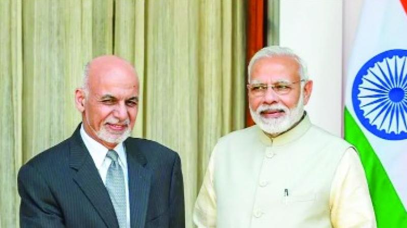 PM Modi PM Modi