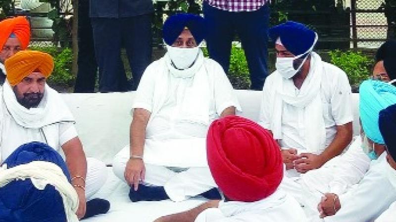  Sukhbir Badal