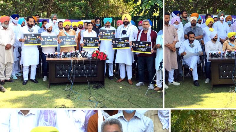 AAP AAP