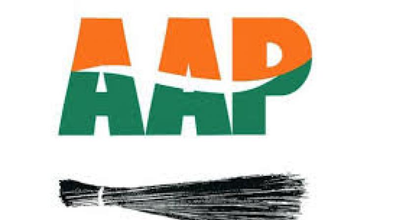 AAP AAP