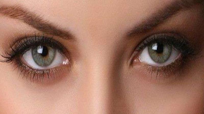 eyesight eyesight