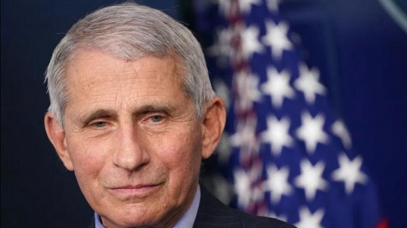 The American media caught up with Dr. Fauchi's e-mail, big revelations The American media caught up with Dr. Fauchi's e-mail, big revelations