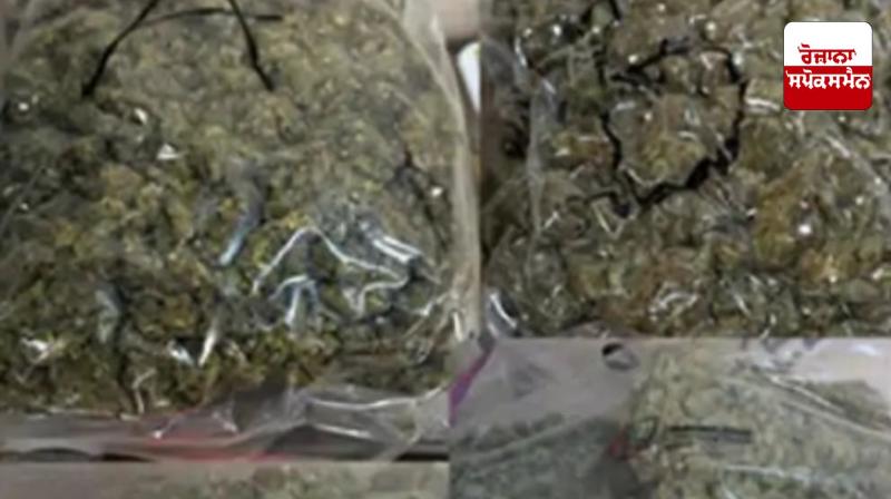Drugs worth Rs 8 crore seized from Mumbai airport Drugs worth Rs 8 crore seized from Mumbai airport