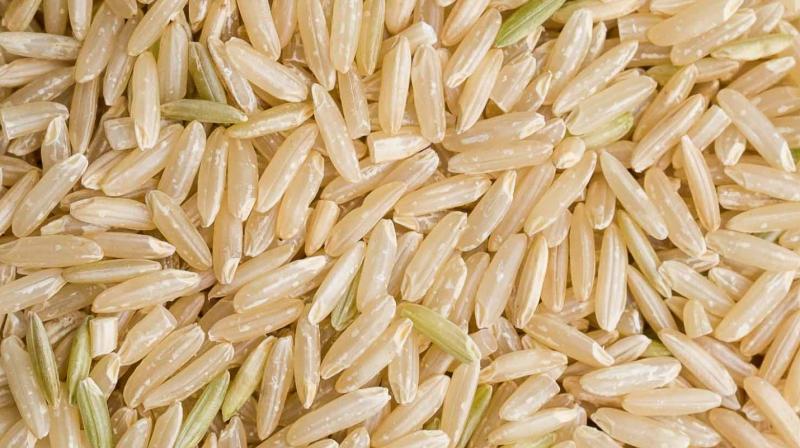 Rice Rice