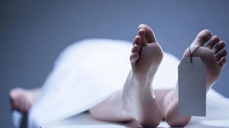 Abohor girl Suicide News in punjabi Abohor girl Suicide News in punjabi