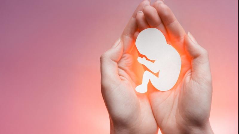 France enshrines abortion rights in its constitution France enshrines abortion rights in its constitution