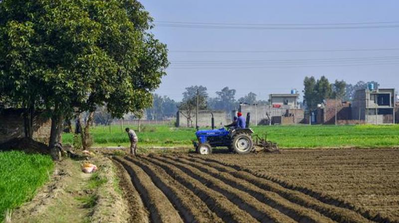 Agriculture
