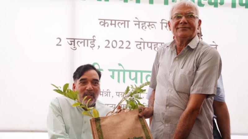 Delhi government to plant 35 lakh saplings in 2022 to tackle pollution Delhi government to plant 35 lakh saplings in 2022 to tackle pollution