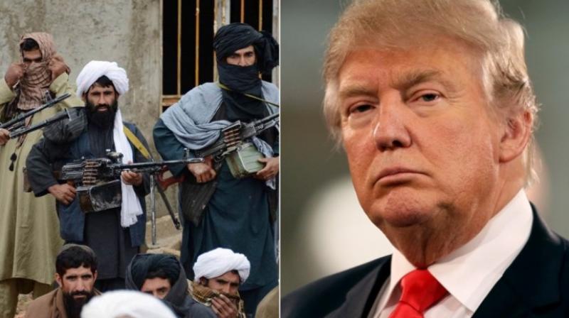 Trump , Taliban Trump , Taliban
