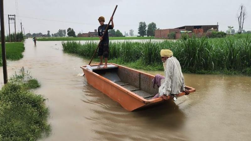 Flood situation prevailed in half a dozen districts Punjab 