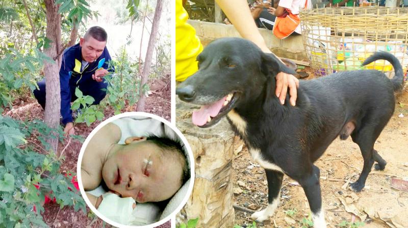 The Girl Buried Her Alive Child, Disabled Dog Save the Child