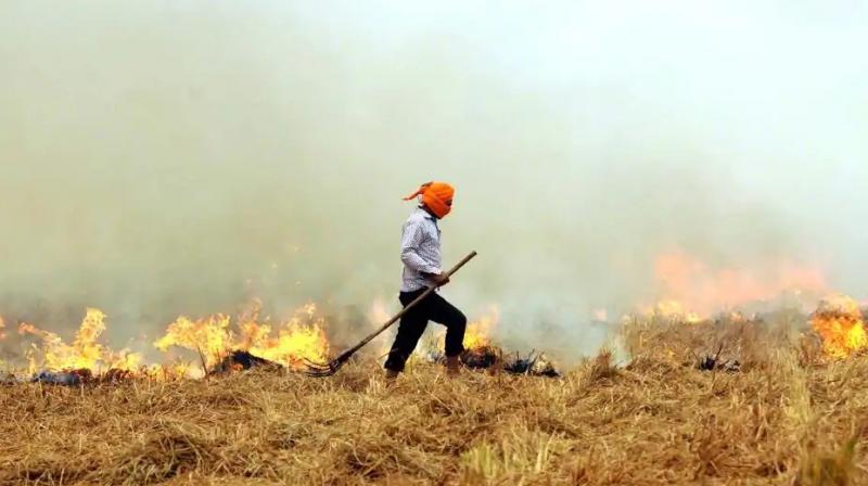 Stubble burning in Punjab Stubble burning in Punjab