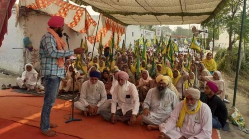 farmer protest farmer protest