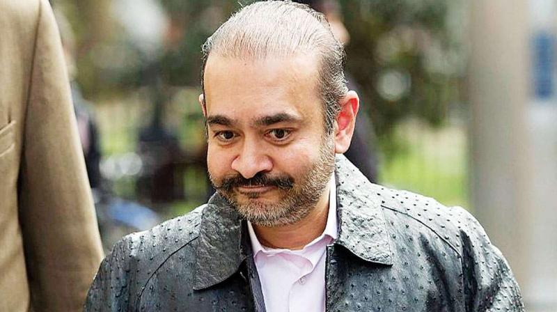 nirav modi nirav modi