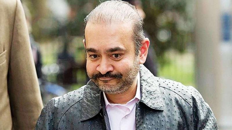 nirav modi