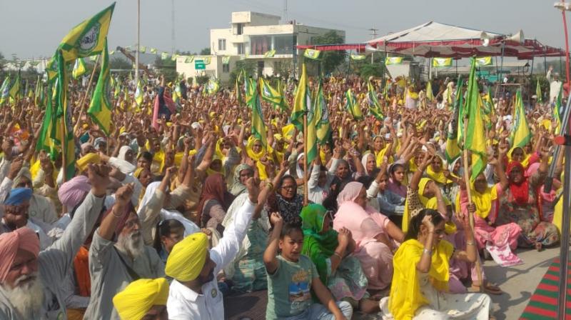 Farmer protest Farmer protest