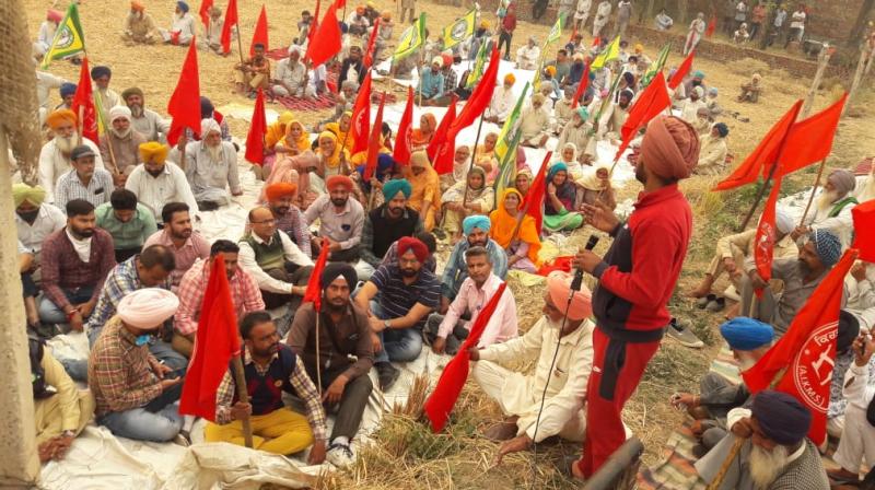 Farmer protest Farmer protest