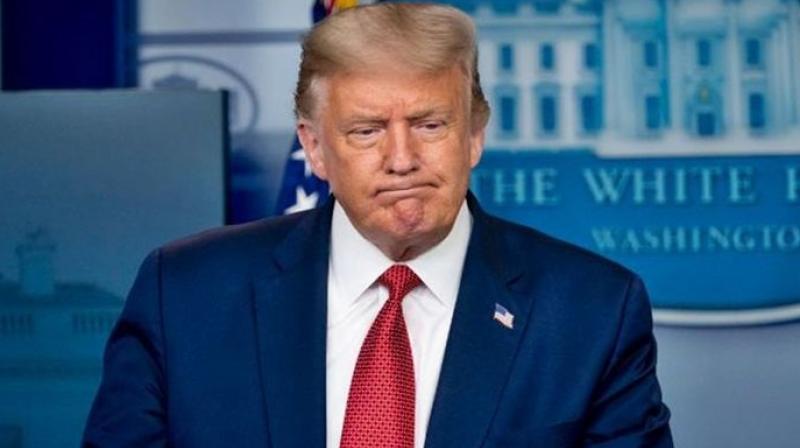 trump trump