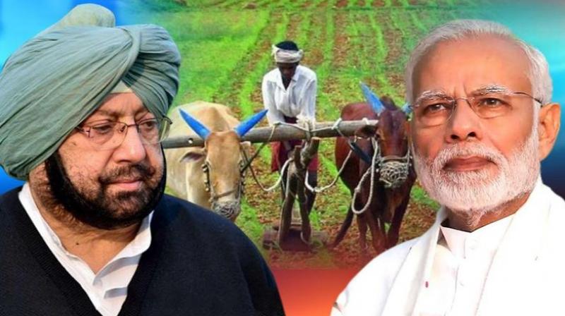 Captain Amarinder Singh- Farmer- PM Modi Captain Amarinder Singh- Farmer- PM Modi