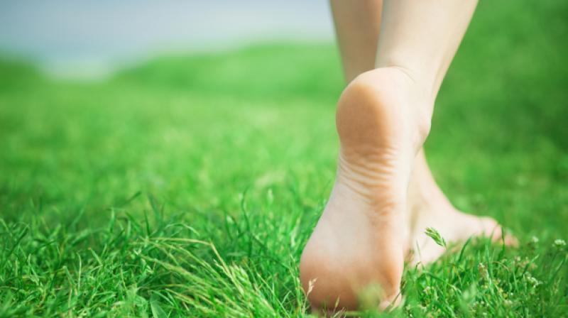 Walking barefoot on green grass eliminates many problems Walking barefoot on green grass eliminates many problems