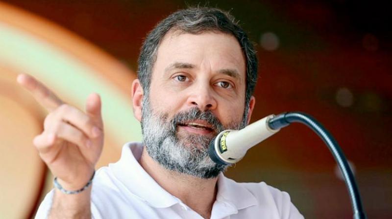 Rahul Gandhi Rahul Gandhi