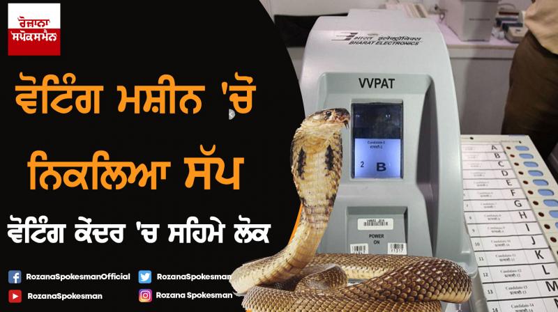 Kerala : Snake was found in a VVPAT at polling booth in Kannurs