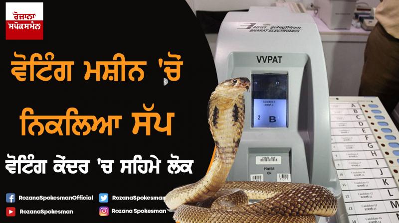 Kerala : Snake was found in a VVPAT at polling booth in Kannurs Kerala : Snake was found in a VVPAT at polling booth in Kannurs