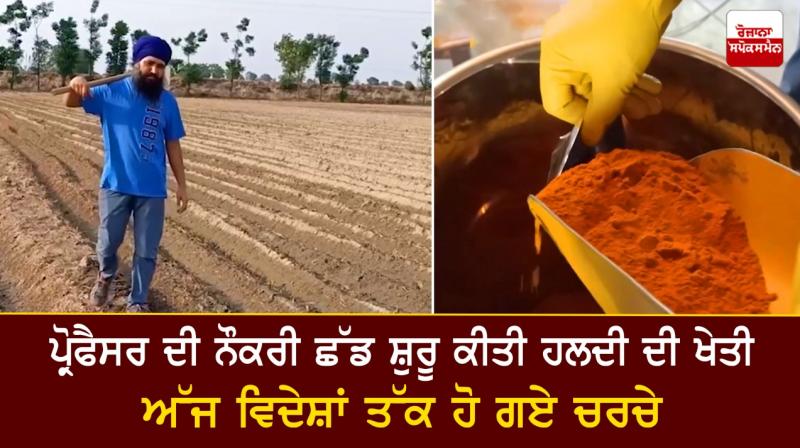 Farmer Atinderpal Singh started Turmeric Cultivation Farmer Atinderpal Singh started Turmeric Cultivation