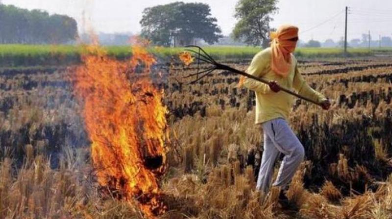 Stubble burning Stubble burning