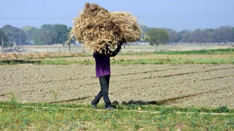  Central notification on agriculture ordinances rejected by farmers