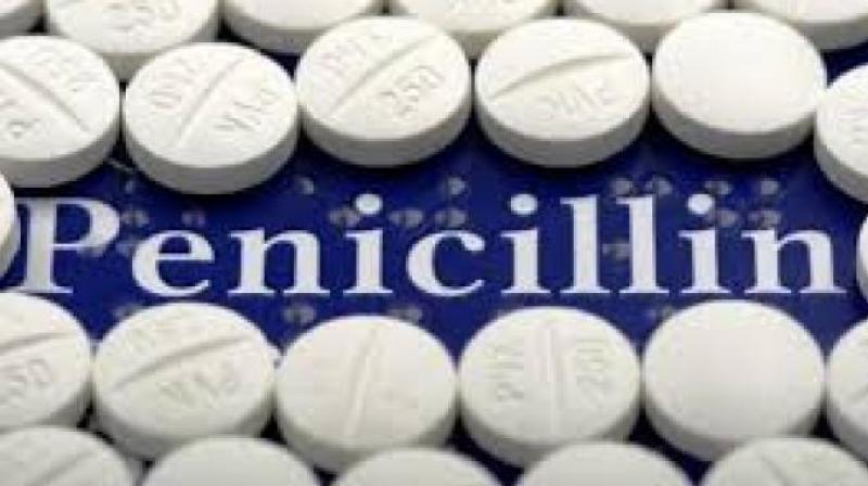 Penicillin Penicillin