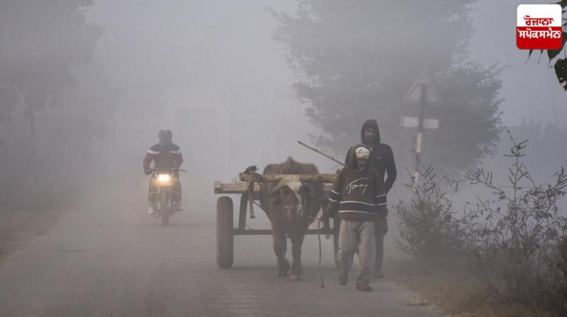 Punjab Weather Update