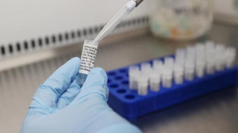 covid 19 vaccine covid 19 vaccine