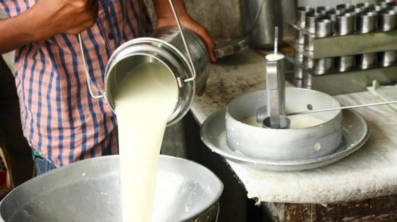 Milk production Milk production