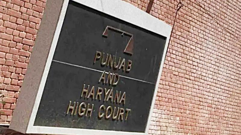 Punjab and Haryana High Court : Punjab and Haryana High Court :