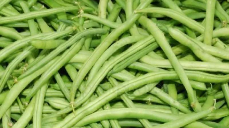 Health/Weight loss 4 foods in summer Health/Weight loss 4 foods in summer
