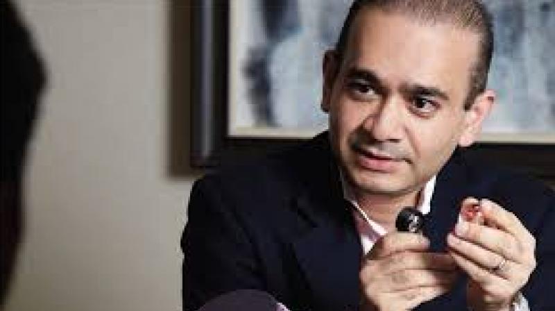 Nirav Modi 