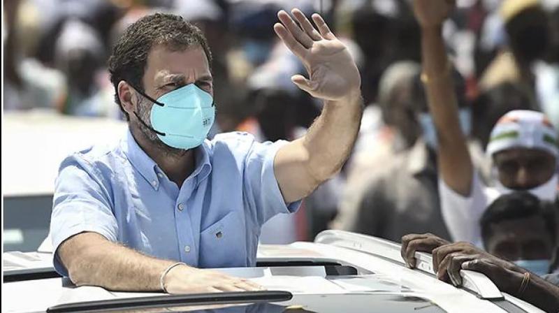 Rahul Gandhi Rahul Gandhi