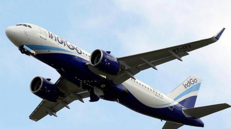 International Flight Ban International Flight Ban