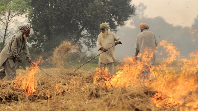 Reduction in stubble burning cases Reduction in stubble burning cases