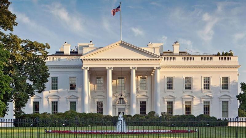 white house white house