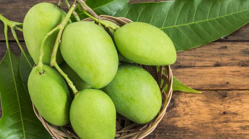 Raw mango will also take care of your health Raw mango will also take care of your health