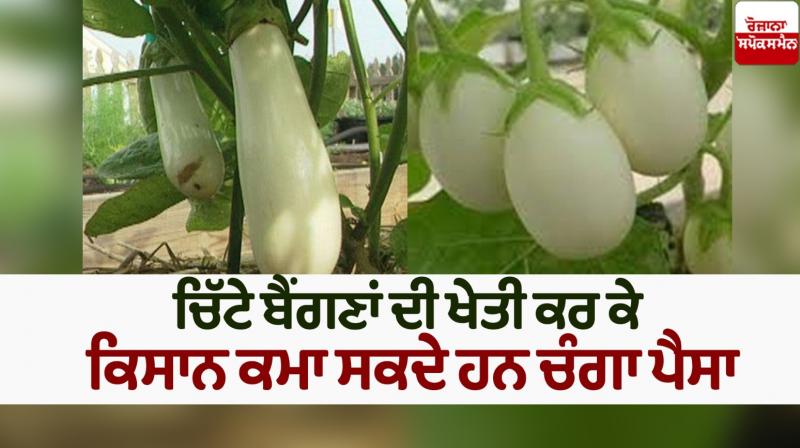 Farming News Farming News