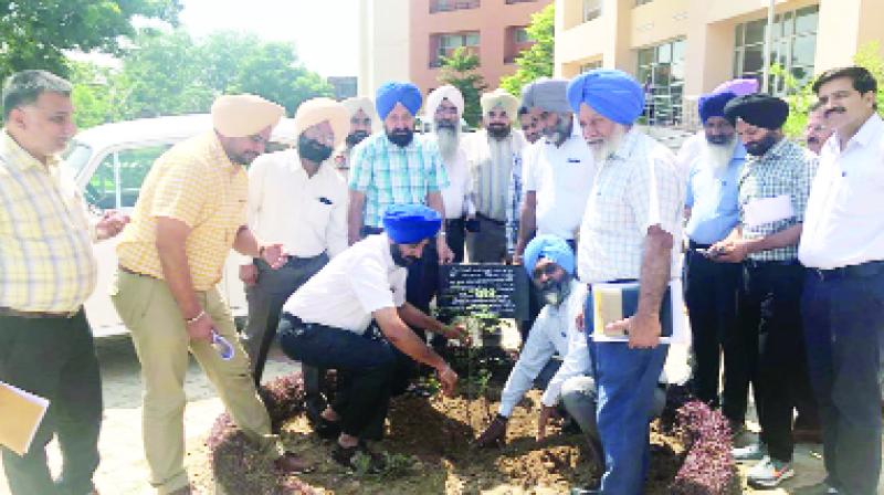 Kahan Singh Pannu Planting Plant
