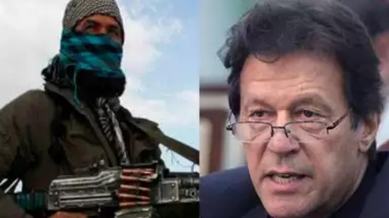 Taliban snubs pa on kashmir issue rejects linking of afghanistan issue with j&k