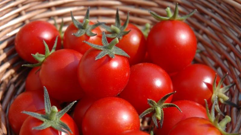 Pak tomato price 300 rs kg after 370 jammu kashmir