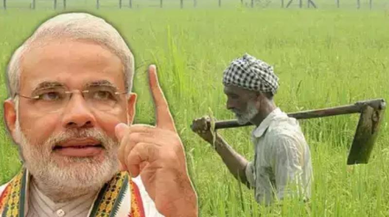 Organic farming benefits and market paramparagat krishi vikas yojana pkvy Organic farming benefits and market paramparagat krishi vikas yojana pkvy