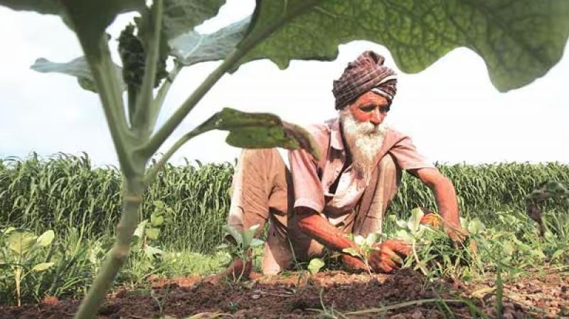 The government has approved the extension of the scope of the Agricultural Infrastructure Fund Scheme Farming News : The government has approved the extension of the scope of the Agricultural Infrastructure Fund Scheme Farming News :
